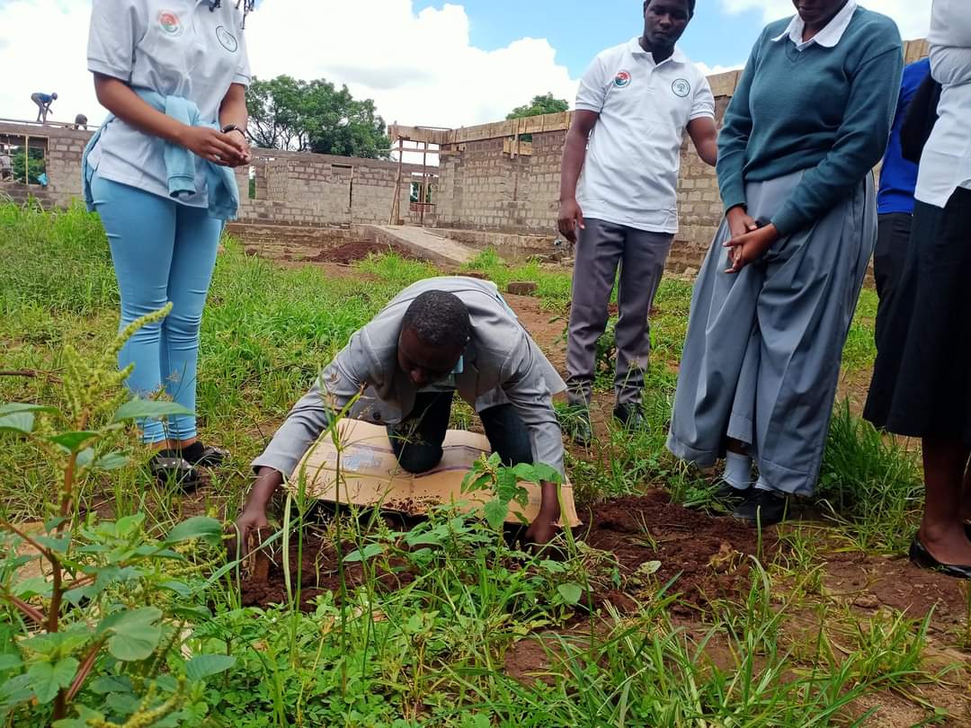 planting tree 2