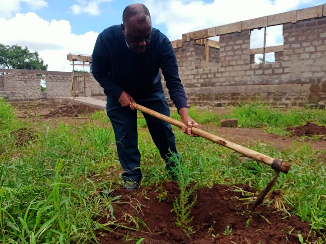 planting tree 3