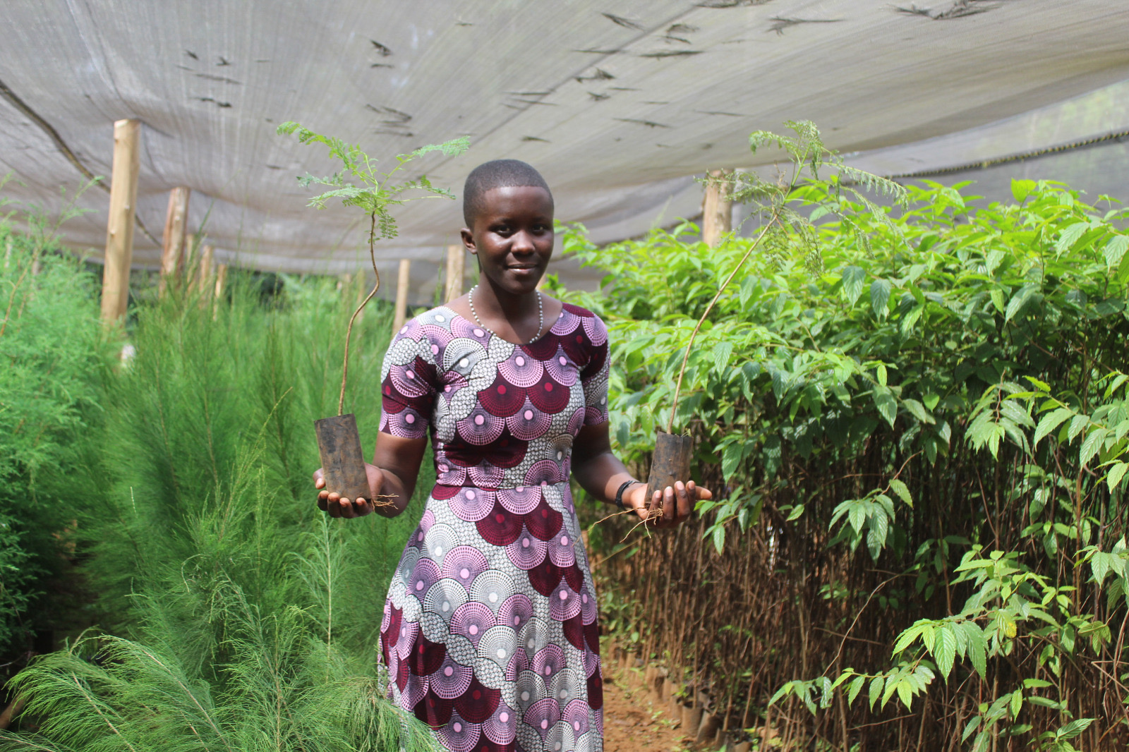 0dffcf36 Bc1d 4d12 Be2f 22313eff025b