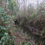 Home Featured Image 6 150x150