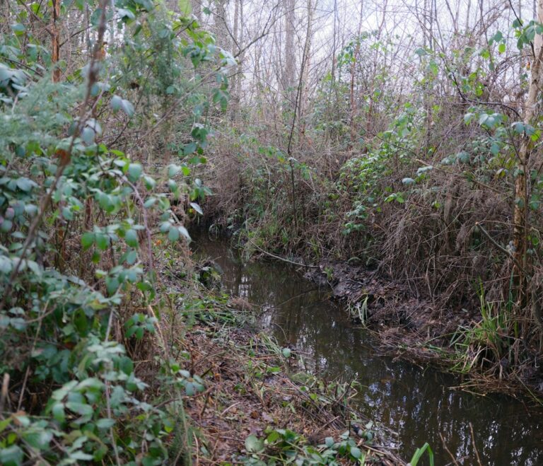 Community Empowerment: A Key to Environmental Success