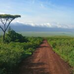 Home Featured Image 7 150x150