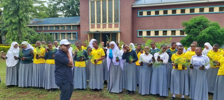 photo 2025 03 28 13 07 38