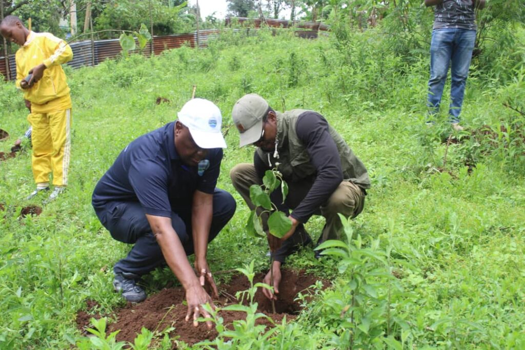 Padre Aidan G. Msafiri Aadhimisha Miaka 63 kwa Kupanda Miti na Kutoa Miche 7,000 whatsapp image 2026 03 28 at 13.02.5989 (1)